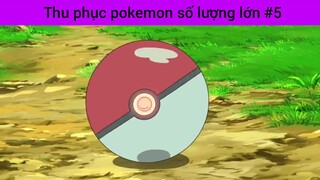 Thu phục pokemon số lượng lớn p5