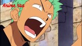 Zoro dikejar kejar dua adiknya, water seven episode 318