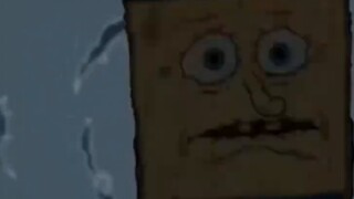"Little Sponge Food Contest"