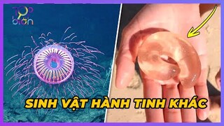 8 Loài Sinh Vật KỲ Bí Đến Từ Hành Tinh Khác Khiến Bạn Ngã Ngửa