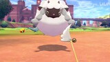 Those cute Pokémon in Sword and Shield [1]AWSL!