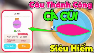 Play Together | Cách Câu Thành Công "CÁ CÚI" Chính Xác Nhất, Giờ Câu? Nơi Câu? Bóng Mấy???