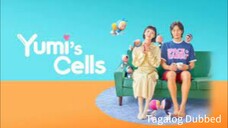 Yumi's Cells 07