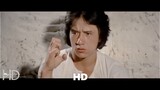 jackie chan snake fist with cat claw hd