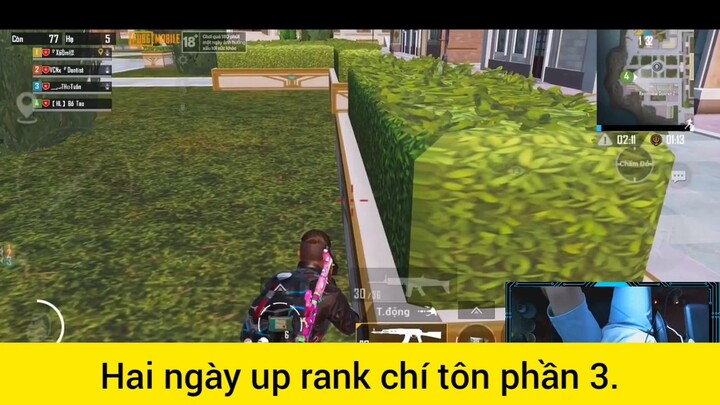 hai ngày up rank Chí Tôn phần 3