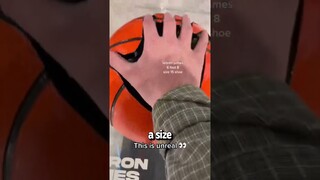 NBA Players Size Comparison - Shaq's Hands are Huge