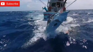 mga higanteng isda n mahuhuli s dagat