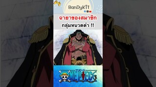 วันพีช:ฉายาคนในกลุ่มหนวดดำ #shorts #onepiece #roblox #bloxfruits #fypシ #anime #tiktok #วันพีช