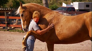 TOUCHING MOMENTS!! Animals Reunited With Owner After Years #2