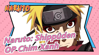 [Naruto: Sức mạnh vỹ thú] OP Chim Xanh, Cover ghi ta