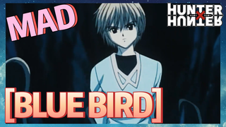 [BLUE BIRD] MAD