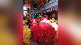 tettansuu2021 liondance mualansurong mualan tet2021