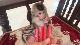 BaBy Bao Bao Monkey's Reaction When Eating Sausage