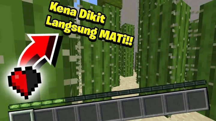 Aku Di Labirin Kaktus Dengan Setengah Darah Saja!! Challenge Jangan Mati Di Minecraft!!😱😱