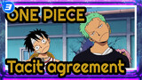 ONE PIECE|[Tacit agreement of Straw Hat Pirates]Always stop in odd places_3