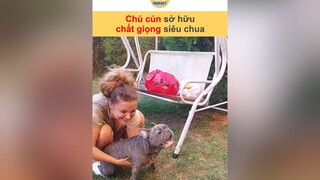 Giọng này ta nói đem đi chửi nhau thì chỉ có thắng chứ không có thua vnnn vnnnfunfact tiktoknews animals hài onhavanvui onhaxemtin foryoupage