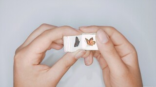 【水彩手绘】挑战指尖上的蝴蝶