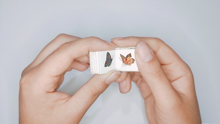 [Watercolor hand-painted] Challenge the butterfly on your fingertips