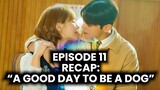 "A Good Day to Be A Dog" | Recap of Episode 11 | Park Gyu-young | Cha Eun Woo
