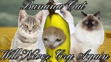 Banana cat never cries again (Part 2)