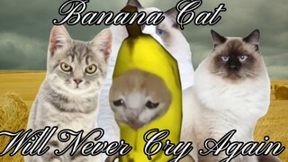 香蕉猫再也不哭泣(下)