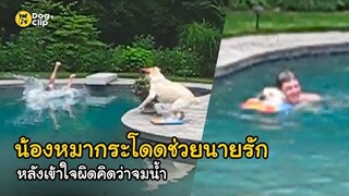 น้องหมาลาบราดอร์แสนรู้ช่วยนายรักจมน้ำ| Dog's Clip