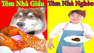 Thú Cưng TV | Ngáo Husky Troll Bố Dương KC #31 | chó thông minh vui nhộn | funny cute smart dog Pets
