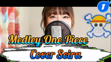Medley One Piece (Cover Seira)_1