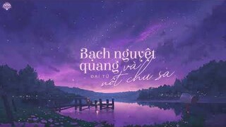 [Vietsub] Bạch Nguyệt Quang và Nốt Chu Sa (白月光与朱砂痣) - Đại Tử (大籽)