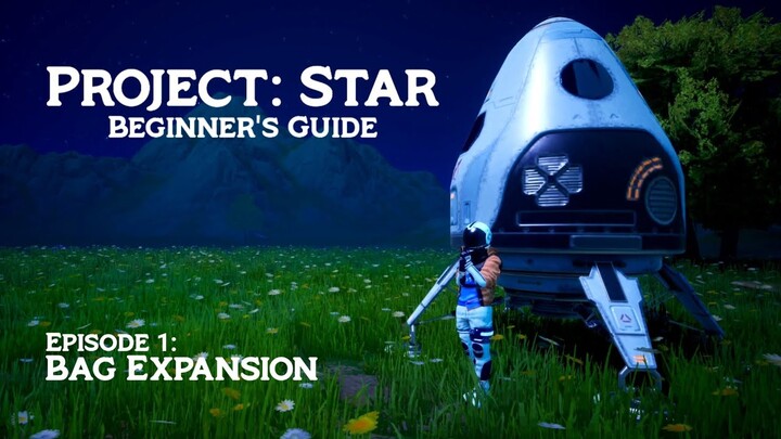 Upgrade Your Bag! Bag Expansion Card | Beginner's Guide | Project Stars
