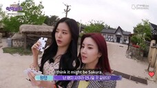 IZ*ONE Eating Trip in Sokcho Ep. 9 (Eng Sub) | Black Chef's Spy?