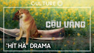DRAMA CẬU VÀNG | Câu chuyện buồn của một dự án điện ảnh