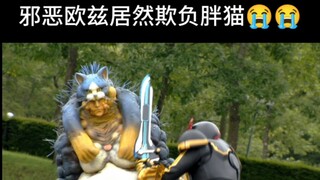 胖猫，你怎么爆细胞硬币了，呜呜呜～