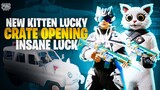 NEW KITTEN LUCKY CRATE OPENING! || INSANE LUCK! ❤️🔥