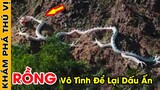 🔥 Phát Hiện 7 Dấu Tích Bí Ẩn Chứng Minh Rồng Có Thật Khiến Cộng Đồng Mạng Việt Nam Chao Đảo| KPTV