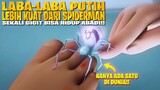 ADA LABA-LABA LAIN SELAIN SPIDERMAN!!