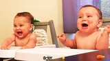 Try Not To Laugh Challenge With Funny Twin Babies #2 || Just Laugh