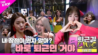 [퇴근길 LIVE 4K] 퇴근길도 레드 카펫으로 만드는 아이브(IVE)의 퇴근법💞