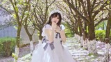 Niaopujiang | Sakura Cherry Blossoms Ingin Melihatmu❀ Koreografi Asli