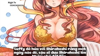 Top 6 Mĩ Nhân Trong Dàn Harem Của Luffy #10- 3