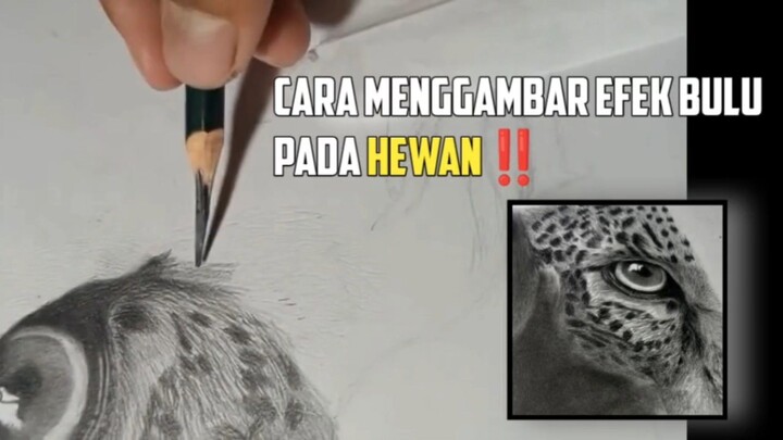 Cara mudah membuat efek bulu |Tutorial Menggambar