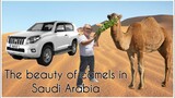 THINGS YOU SHOULD KNOW ABOUT SAUDI ARABIA