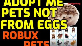 ADOPT ME PETS NOT FROM EGGS (ROBUX PETS, MONKEY BOX, RAT BOX, CANDIES, GOLDEN GOLDFISH, HONEY)