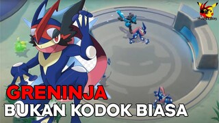 KATAK NINJA YANG PUNYA JURUS BAYANGAN