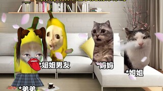 当你有个什么都要抢的弟弟时 #姐弟日常 #逆天 #搞笑 #猫Meme