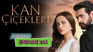 Kan Cicekleri s2 ep.246 ENG sub