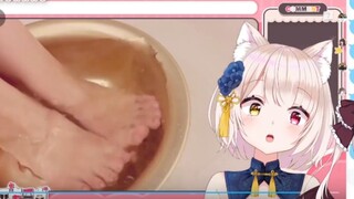 [Live slicing of cooked meat] Cat Princess Amber watches the JO washing tutorial on Station B