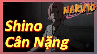 Shino Cân Nặng