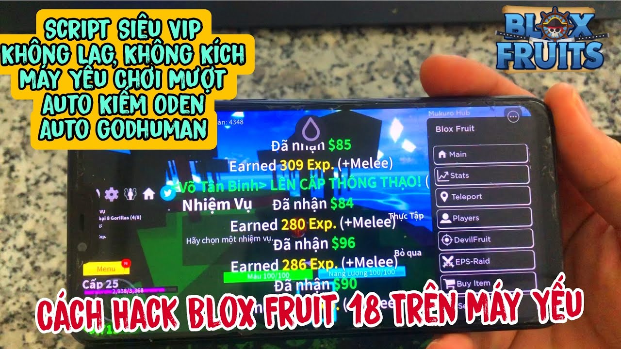 Script Blox Fruit Mobile No Key Auto Farm & Fruit Farm, Chest