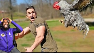 FUNNY Animals Attacking People LOL!  99% Try Not To Laugh!